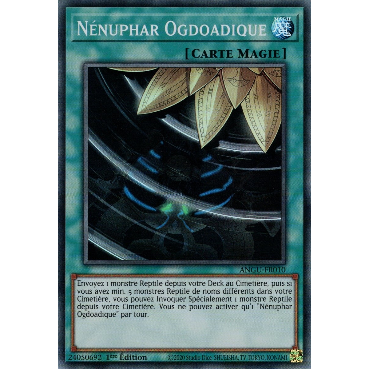 Nénuphar Ogdoadique ANGU-FR010