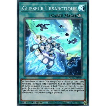 Glisseur Ursarctique ANGU-FR037