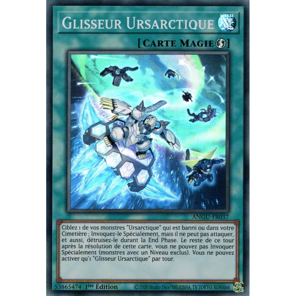 Glisseur Ursarctique ANGU-FR037