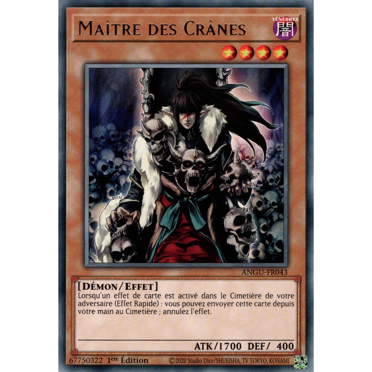 Maître des Crânes ANGU-FR043