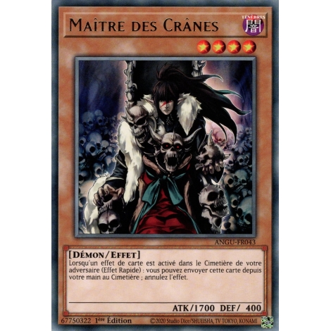 Maître des Crânes ANGU-FR043