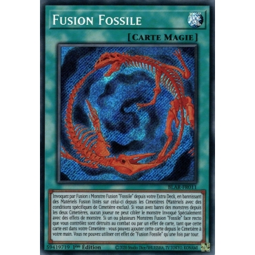 Fusion Fossile BLAR-FR011