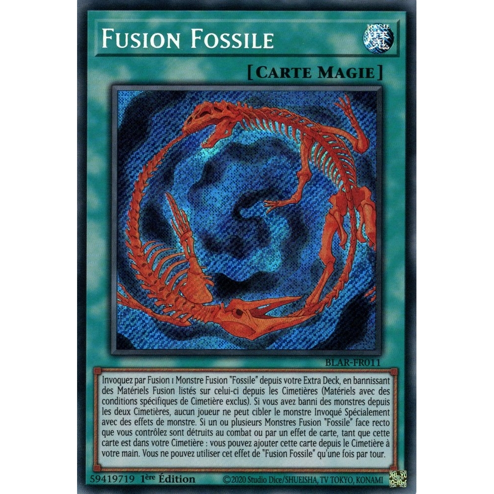 Fusion Fossile BLAR-FR011