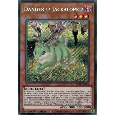 Danger !? Jackalope ? BLAR-FR088