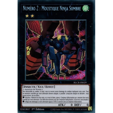 Numéro 2 : Moustique Ninja Sombre BLCR-FR029