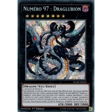 Numéro 97 : Draglubion BLHR-FR030