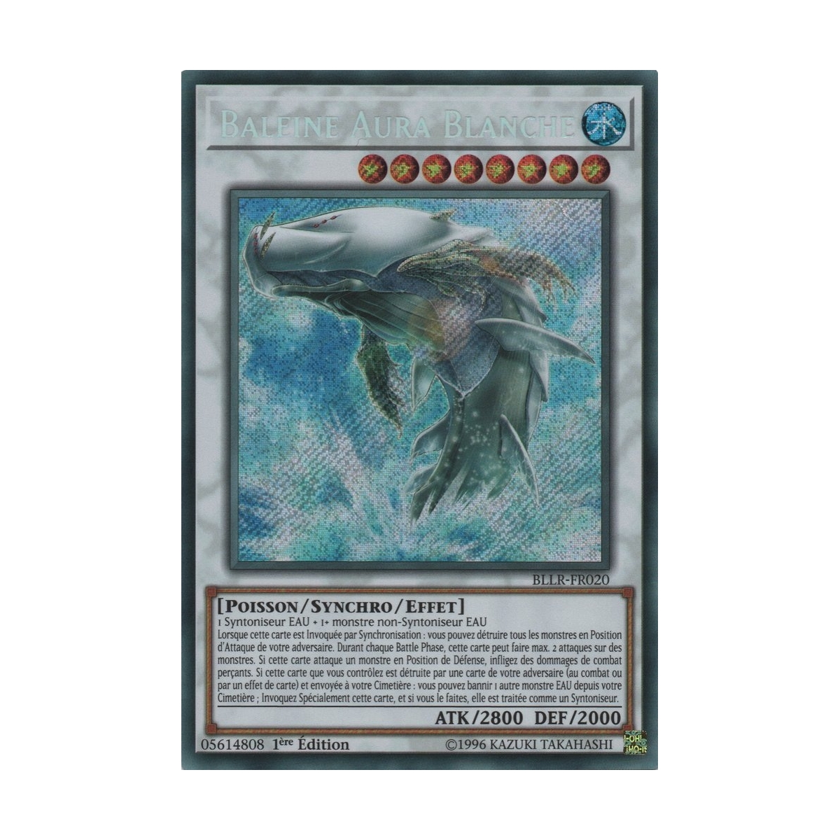 Baleine Aura Blanche BLLR-FR020