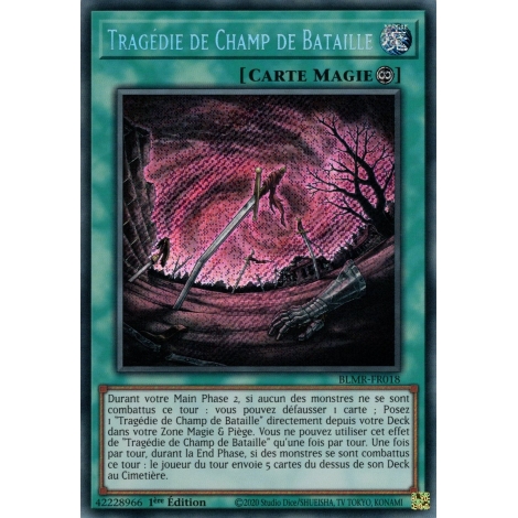 Tragédie de Champ de Bataille BLMR-FR018