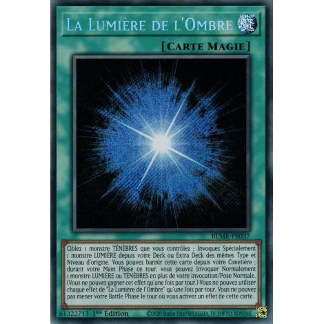 La Lumière de l'Ombre BLMR-FR037