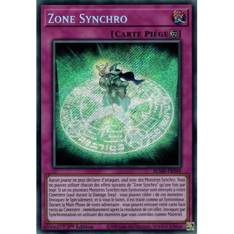 Zone Synchro BLMR-FR048