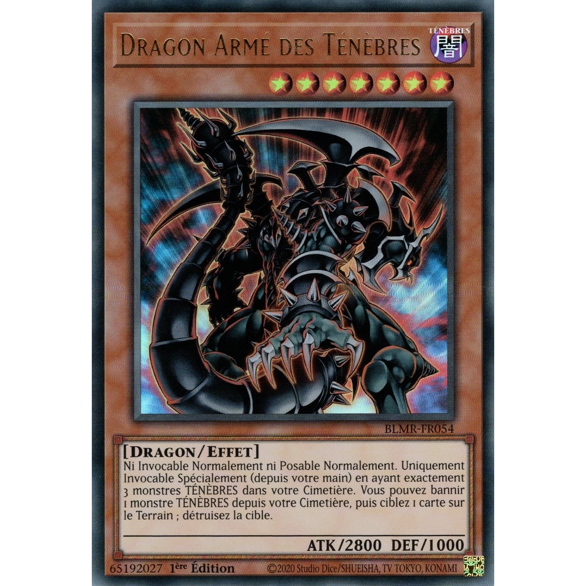 Dragon Armé des Ténèbres BLMR-FR054