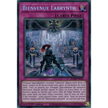 Bienvenue Labrynth BLMR-FR102