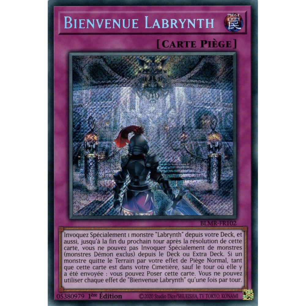 Bienvenue Labrynth BLMR-FR102