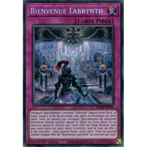 Bienvenue Labrynth BLMR-FR102