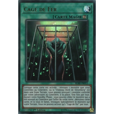 Cage de Fer BLRR-FR012