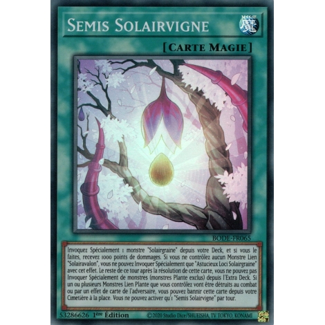 Semis Solairvigne BODE-FR065