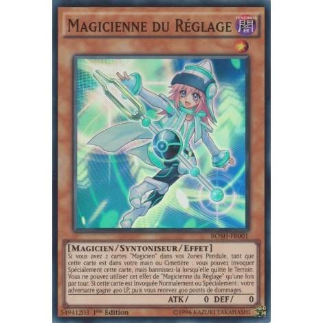 Magicienne du Réglage BOSH-FR001