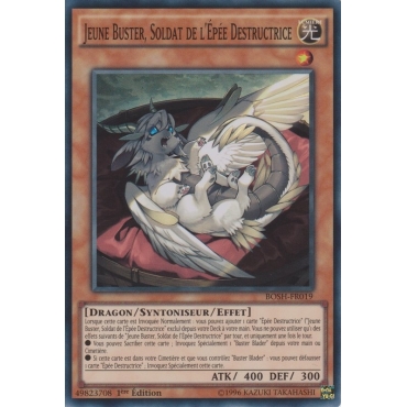 Jeune Buster Soldat de l'Épée Destructrice BOSH-FR019