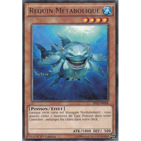 Requin Métabolique BP03-FR068