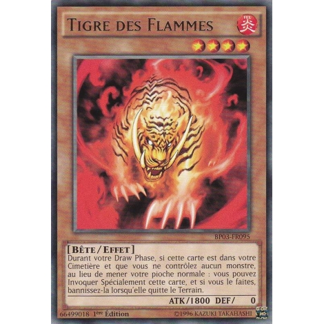 Tigre des Flammes BP03-FR095