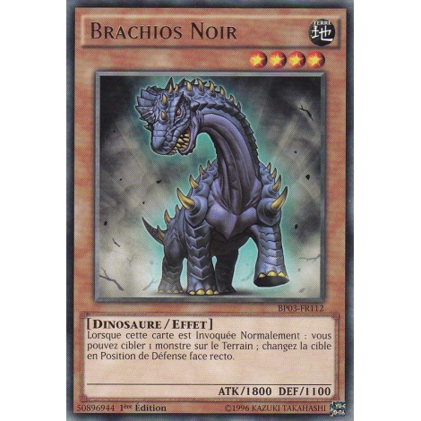 Brachios Noir BP03-FR112