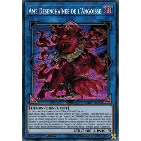 Âme Désenchaînée de l'Angoisse CHIM-FR044