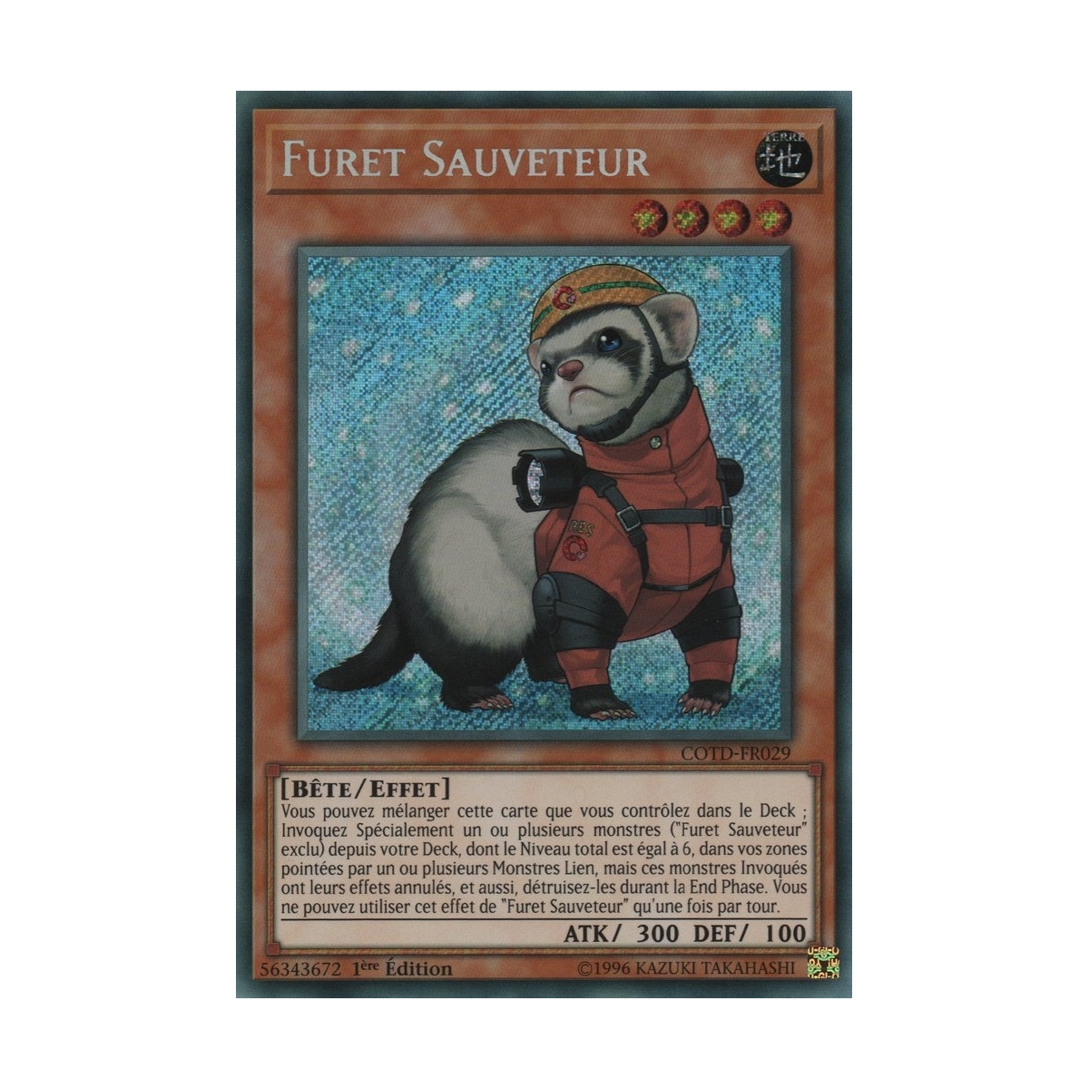 Furet Sauveteur COTD-FR029