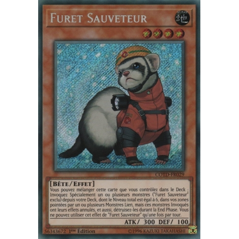 Furet Sauveteur COTD-FR029