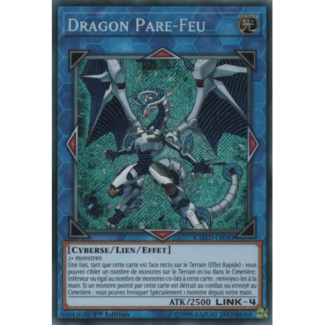 Dragon Pare-Feu COTD-FR043