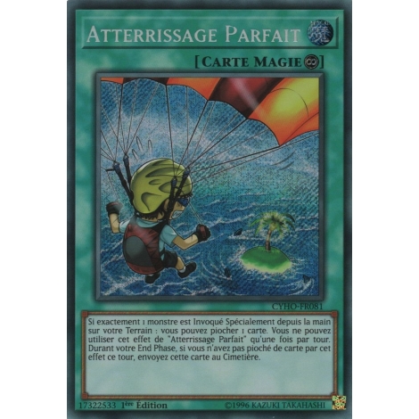 Atterrissage Parfait CYHO-FR081