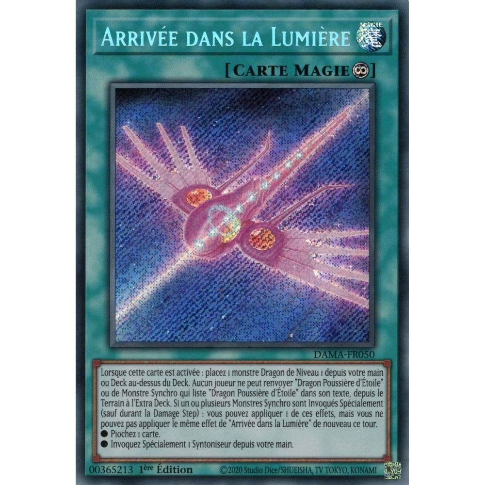 Arrivée dans la Lumière DAMA-FR050