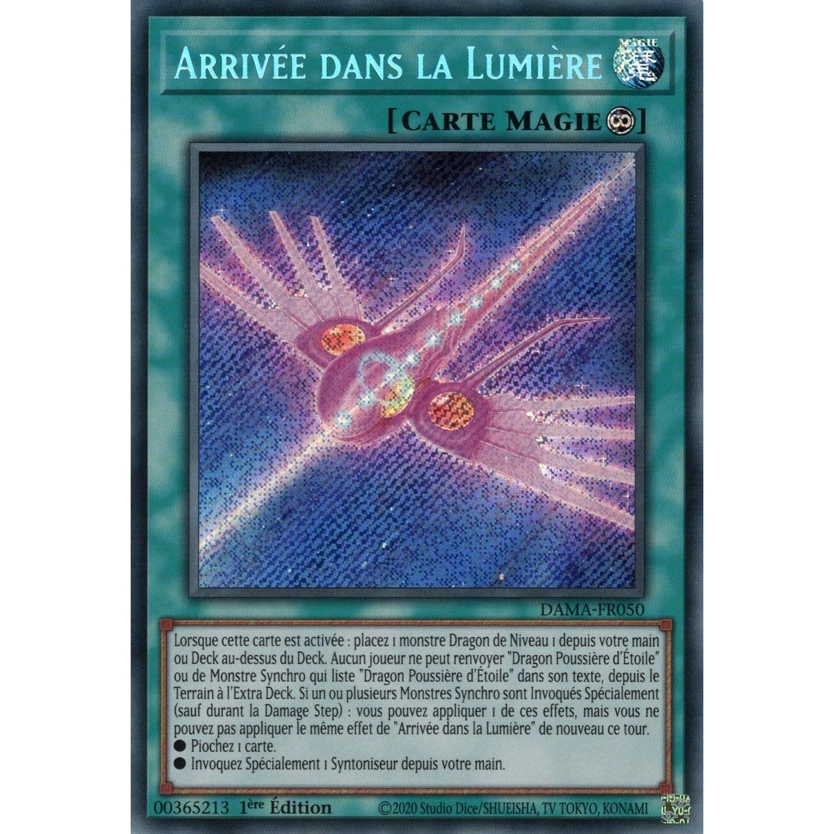 Arrivée dans la Lumière DAMA-FR050