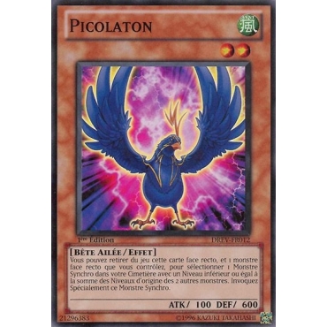 Picolaton DREV-FR012