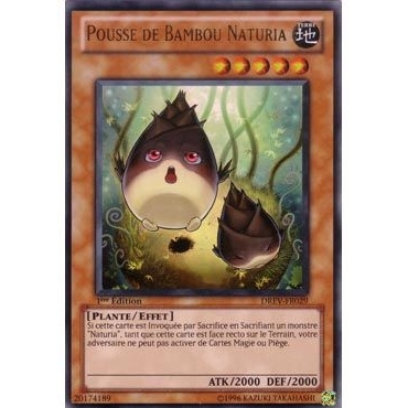 Pousse de Bambou Naturia DREV-FR029