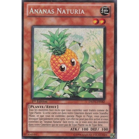 Ananas Naturia DREV-FR082