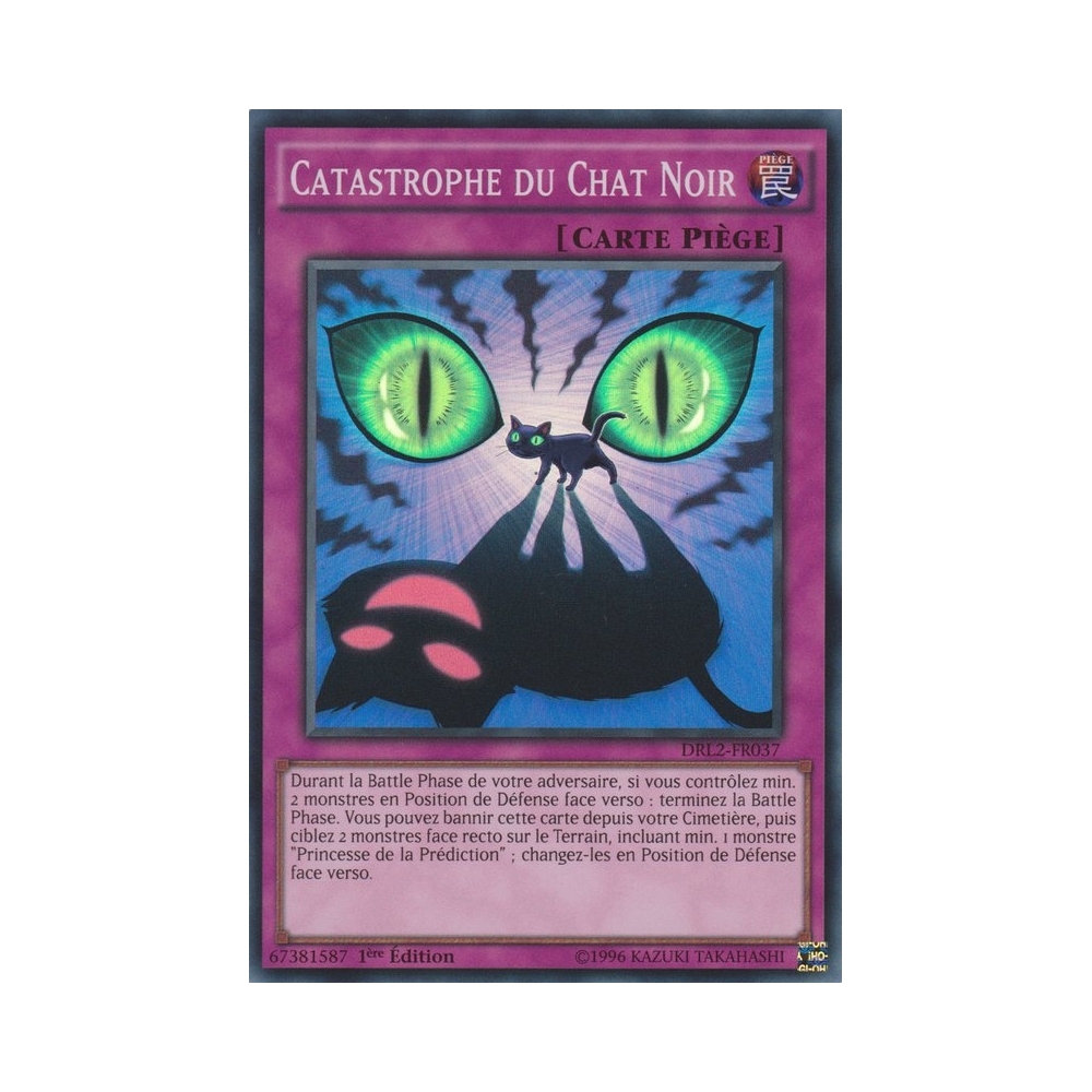 Catastrophe du Chat Noir DRL2-FR037