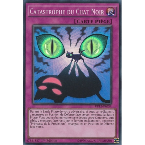 Catastrophe du Chat Noir DRL2-FR037