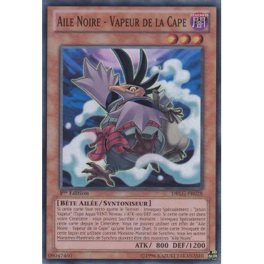 Vapeur de la Cape DRLG-FR028