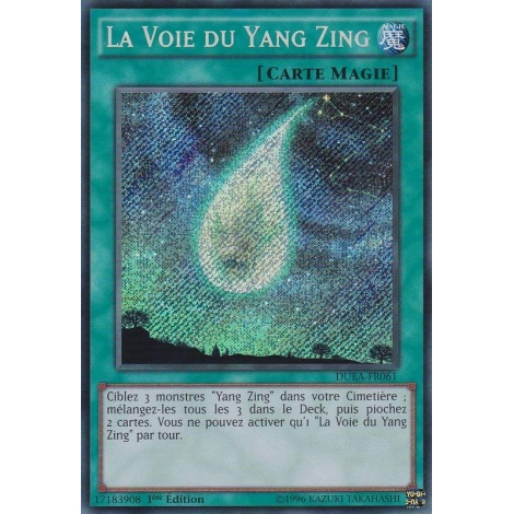 La Voie du Yang Zing DUEA-FR061