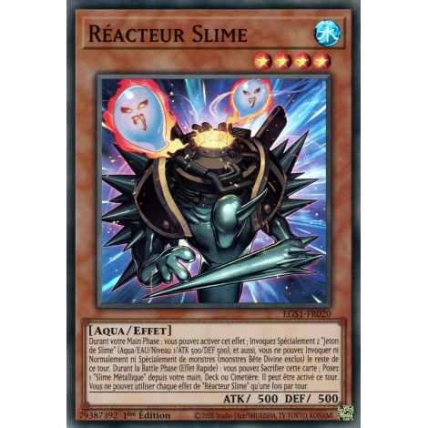 Réacteur Slime EGS1-FR020