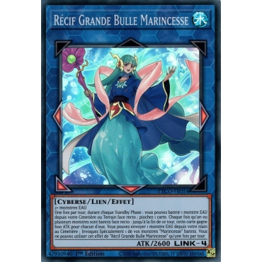Récif Grande Bulle Marincesse ETCO-FR054
