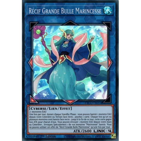 Récif Grande Bulle Marincesse ETCO-FR054