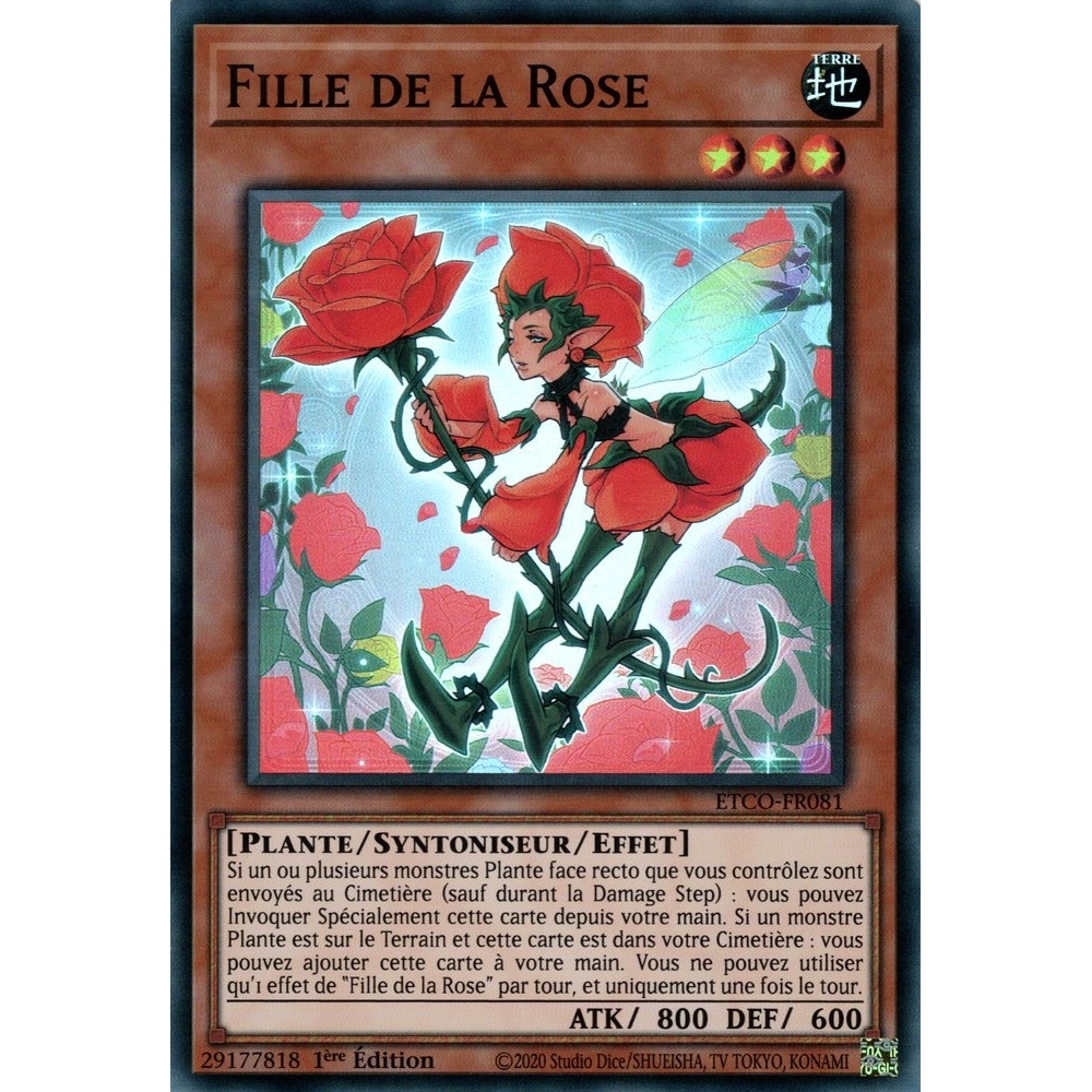 Fille de la Rose ETCO-FR081