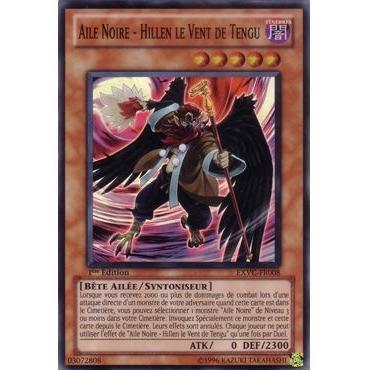 Hillen le Vent de Tengu EXVC-FR008