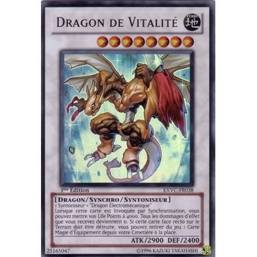 Dragon de Vitalité EXVC-FR038