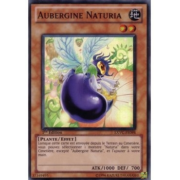 Aubergine Naturia EXVC-FR098