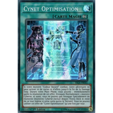 Cynet Optimisation FIGA-FR041