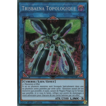 Trisbaena Topologique FLOD-FR036