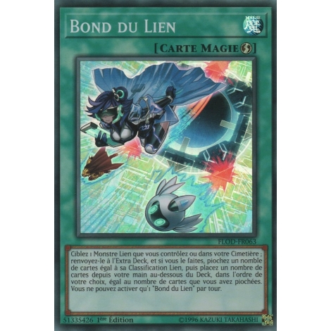 Bond du Lien FLOD-FR063