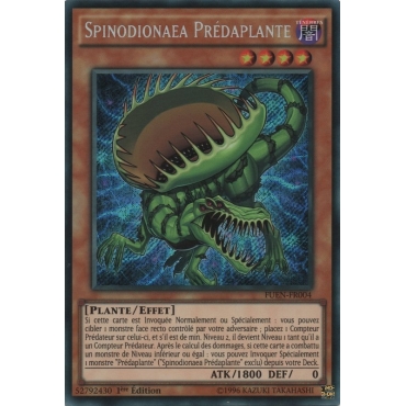 Spinodionaea Prédaplante FUEN-FR004